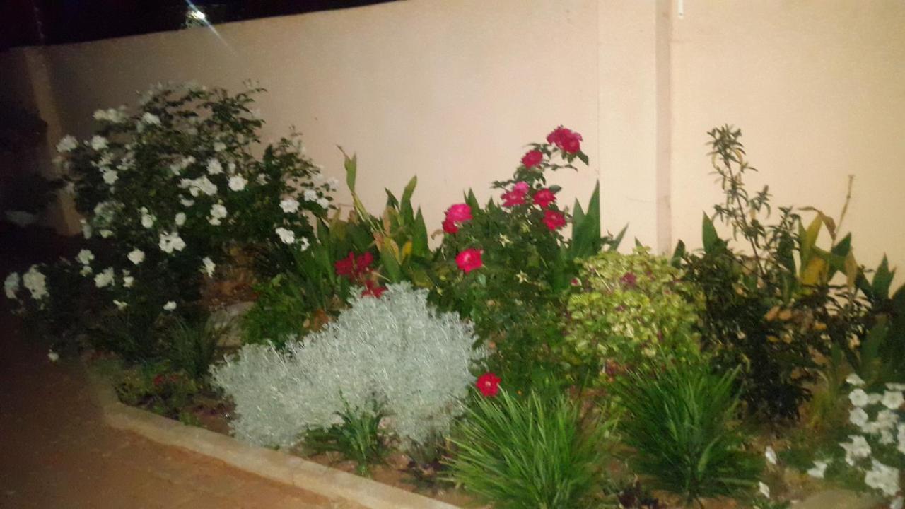 Tintech Bed & Breakfast Francistown Eksteriør bilde